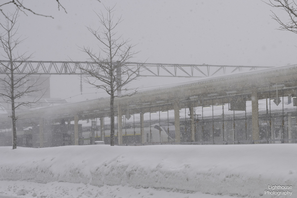 青森駅は雪の中