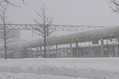 青森駅は雪の中