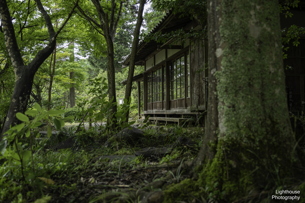 療養の宿