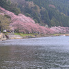 奥琵琶湖の春
