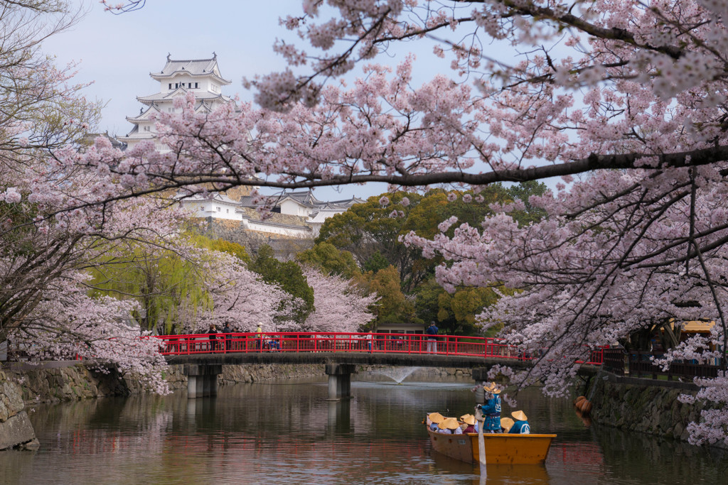 春の姫路城