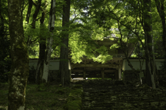 新緑の高源寺