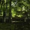新緑の高源寺