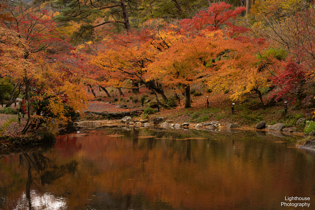 秋の弥彦公園