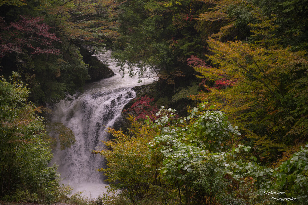 高野大滝