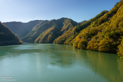 天竜川の紅葉