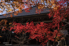 秋彩の清水寺Ⅲ