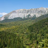 大山紅葉まだよ