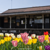 春の駅舎