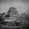 白鷺城