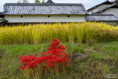 秋の三段重ね