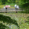 初夏の風景