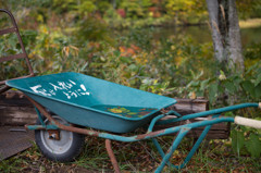 なも無いネコの小さな秋