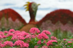 祈りの花