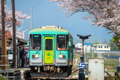 春の北条鉄道