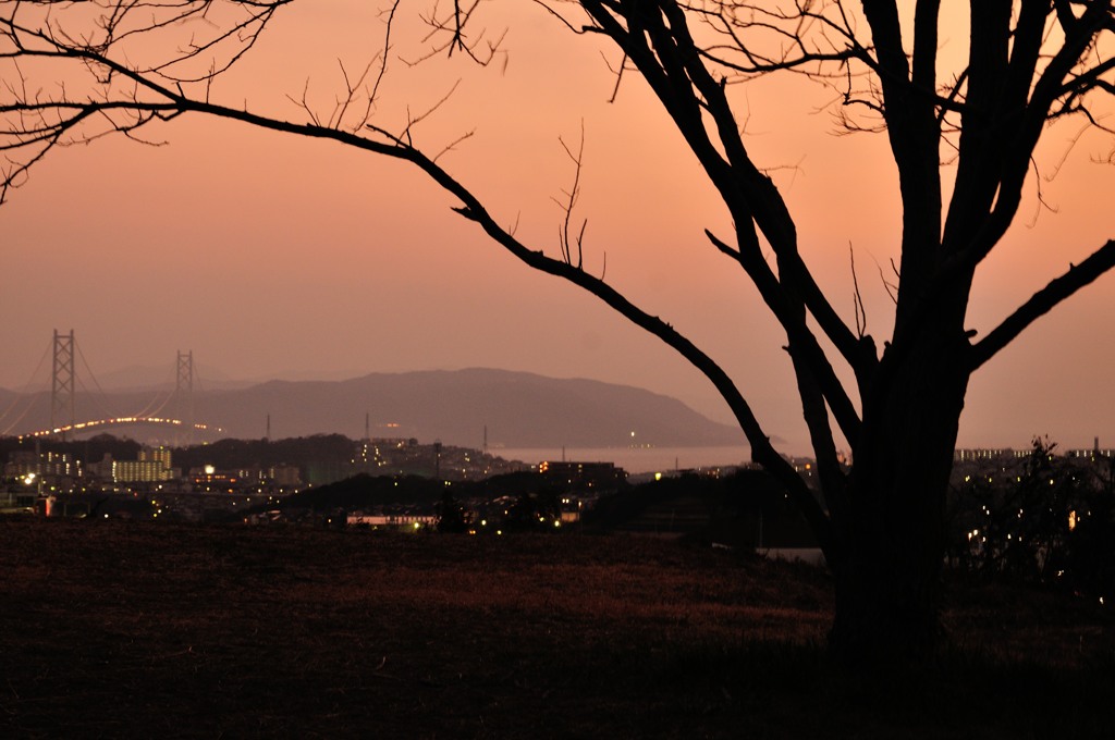 夕陽の丘　2