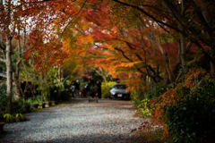 嵯峨野路