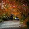 嵯峨野路