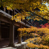 秋彩の清水寺Ⅱ