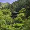 新緑の高源寺Ⅱ
