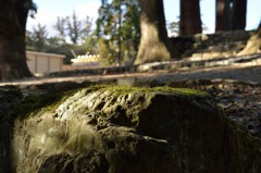 伊勢神宮（内宮）