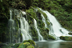 元滝伏流水～80年の時を経て