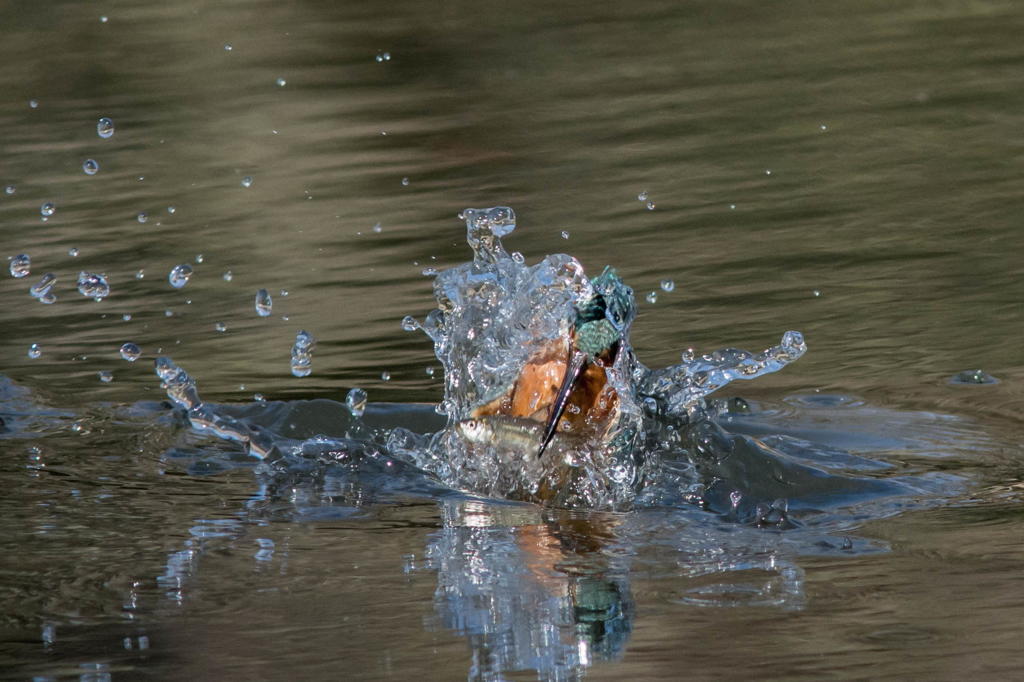 水中からの離脱１