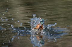 水中からの離脱１