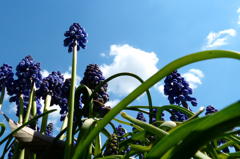 去年の今頃はこんなん撮ってました　３