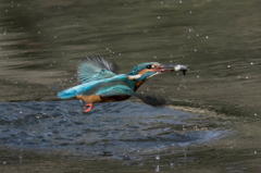 水中からの離脱３