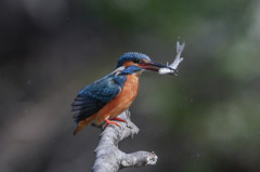 F4で3.360mmでノートリ！？