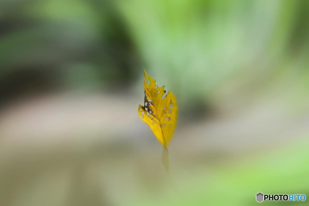 ９月28日は蔵出し