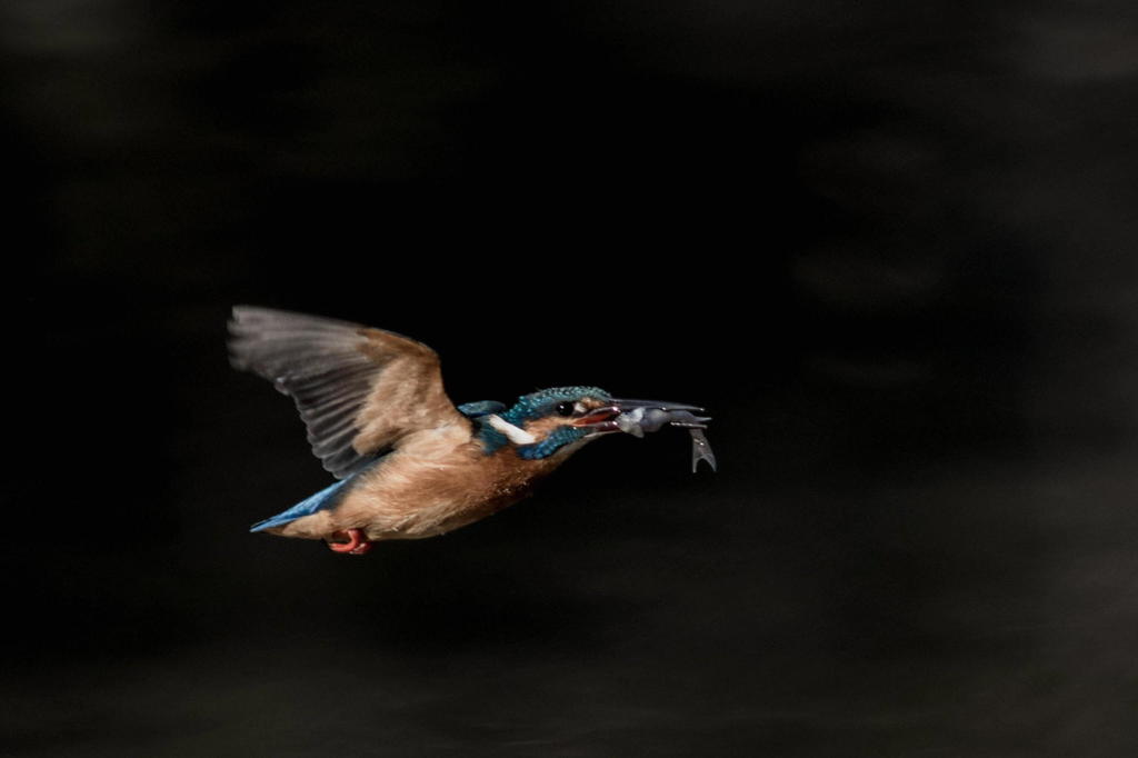 在庫処分セール　３品目