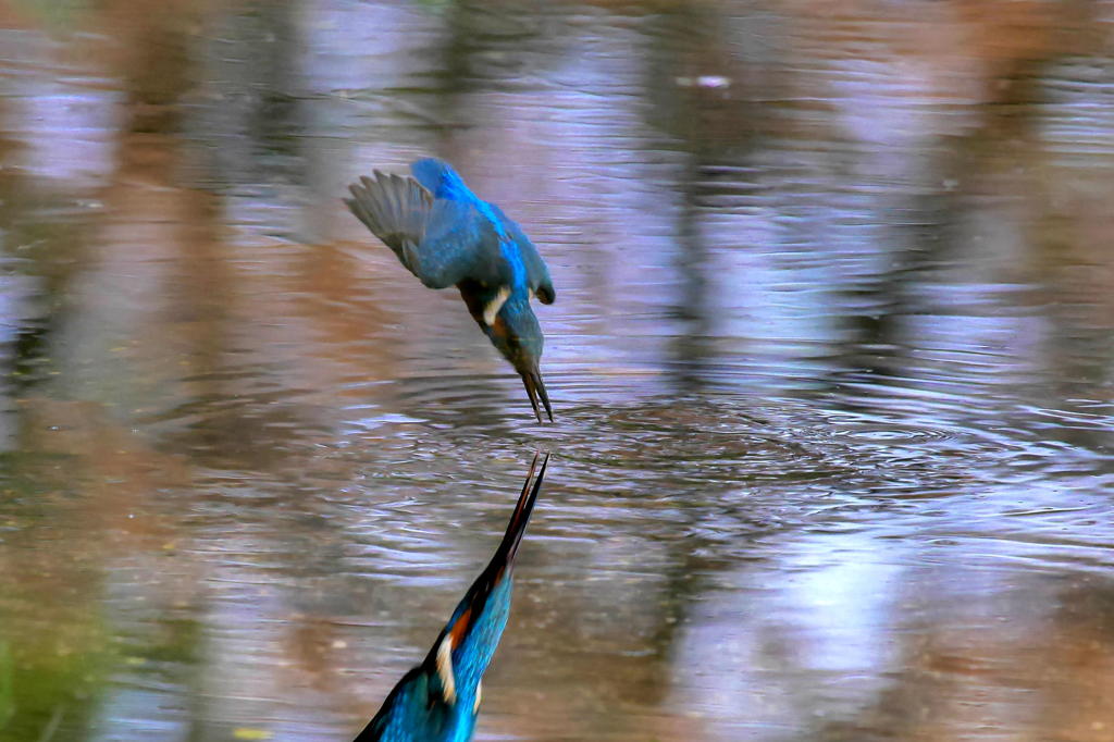 上下逆にしてトリミング