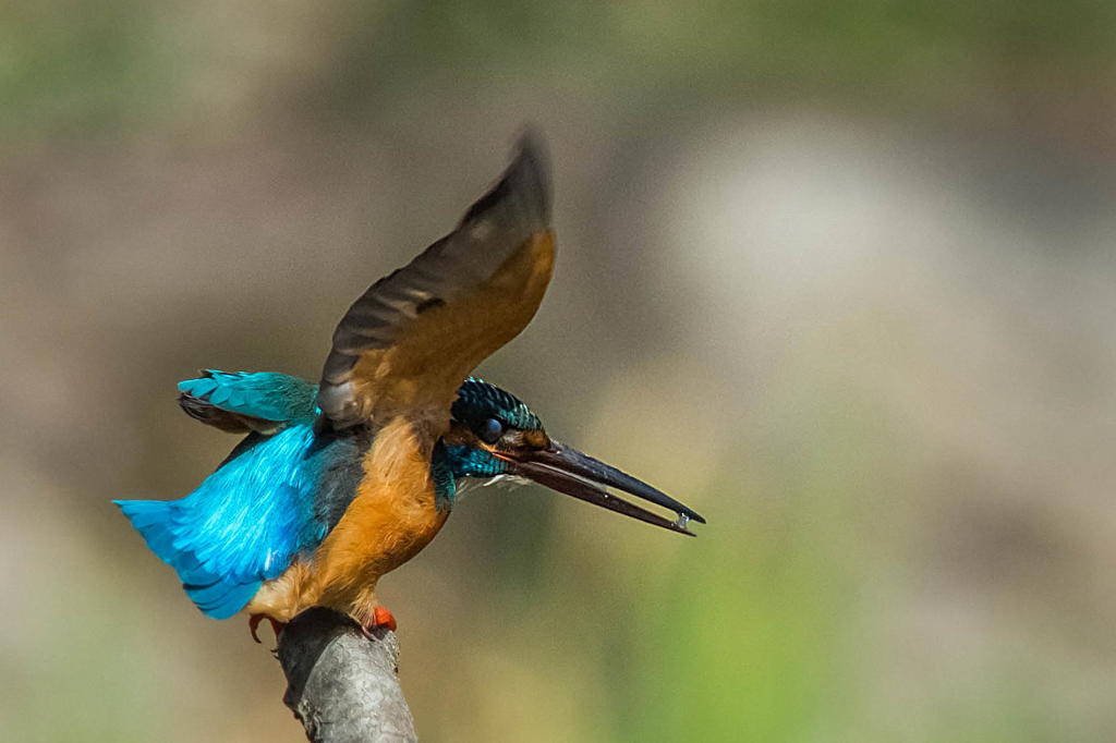雨降りの日は蔵出しで２