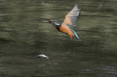 残念な出来事　その３