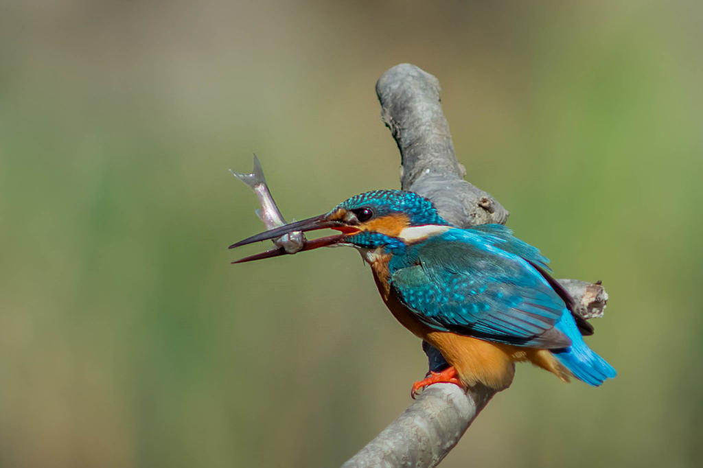 雨降りの日は蔵出しで１