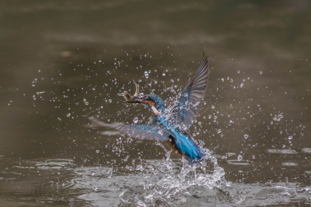 リクエストにお応えして