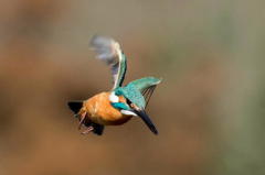 ホバリング番外編２