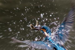 在庫処分セール　２品目