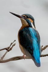 止まりモノ回顧録　その２