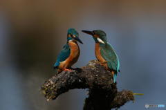 ２月12日は未来の画像