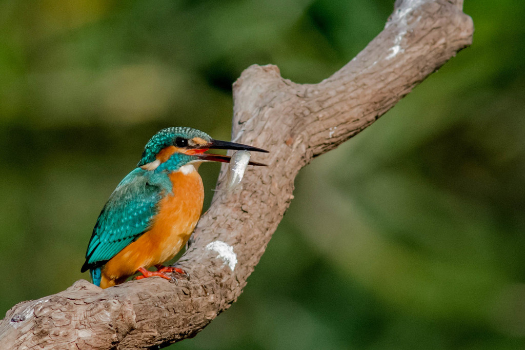 止まりモノ回顧録　その３