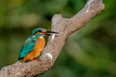 止まりモノ回顧録　その３