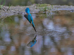 電子シャッターはのび～る 伸びる