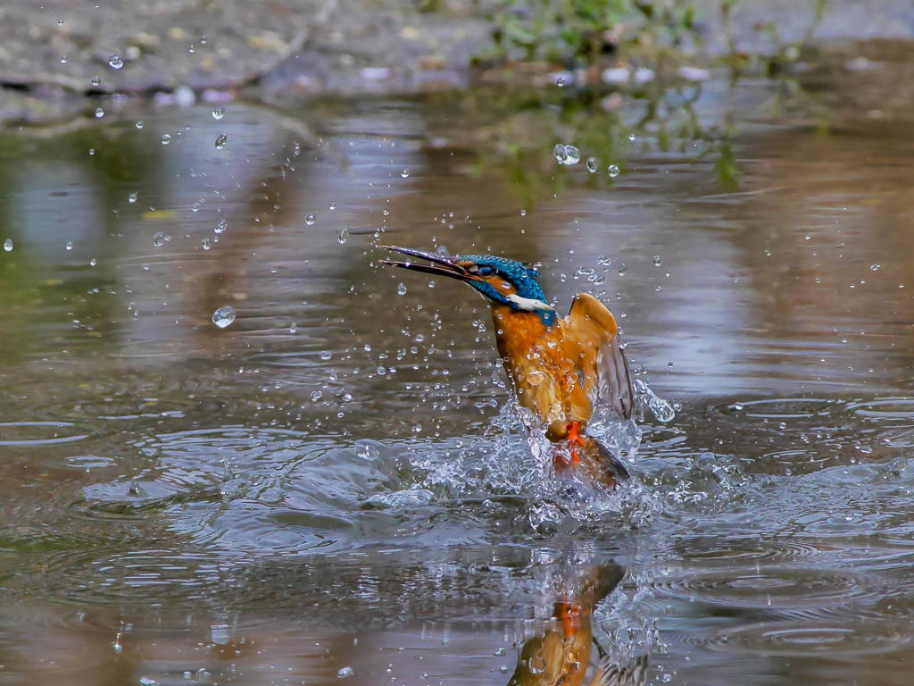 プハ～ッ！　失敗だァ～