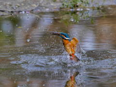 プハ～ッ！　失敗だァ～