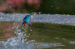 小物ゲット～！