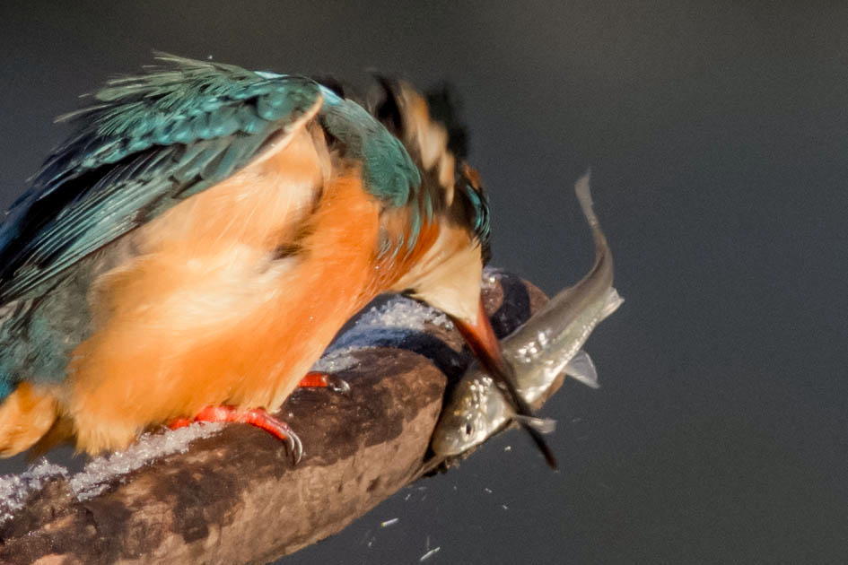 止まりモノ回顧録　その１