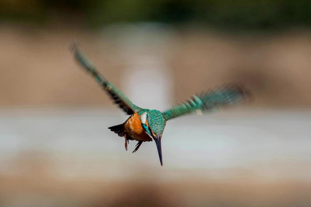 ホバリング番外編３